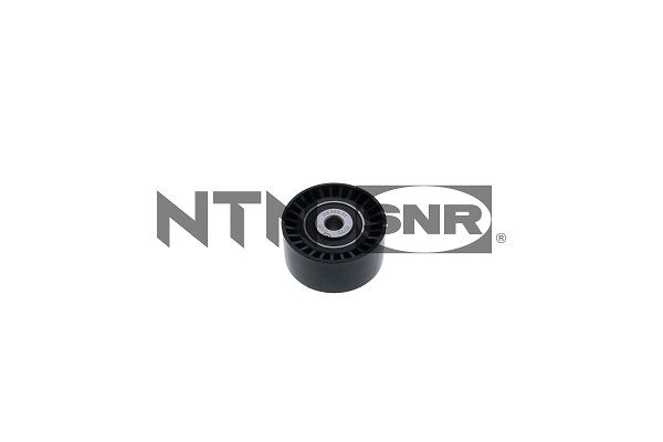 Deflection/Guide Pulley, timing belt - GE359.31 SNR