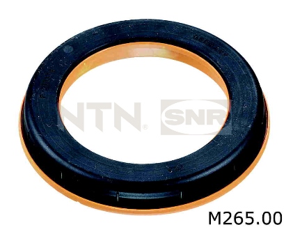 Kit riparazione, Cuscinetto ammortizzatore a molla - M265.00 SNR