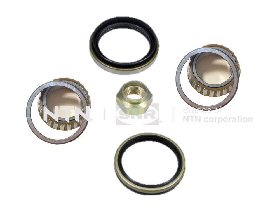 Wheel Bearing Kit - R170.09 SNR