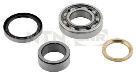 Wheel Bearing Kit - R177.01 SNR