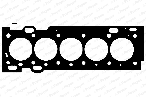 Gasket, cylinder head - AE5560 PAYEN