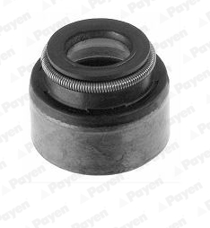 Seal Ring, valve stem - PA658 PAYEN