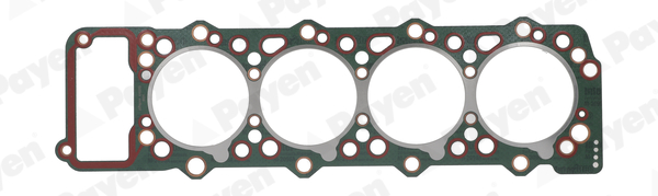 Guarnizione, Testata - AA5020 PAYEN