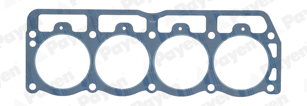 Gasket, cylinder head - AC5600 PAYEN
