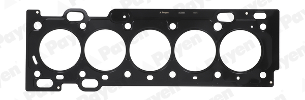 Gasket, cylinder head - AE5560 PAYEN
