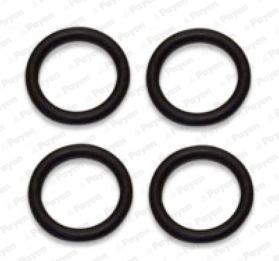 Gasket Set, intake manifold - HA5029 PAYEN