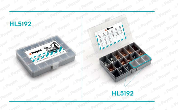 Assortment, oil drain plugs - HL5192 PAYEN