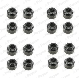 Kit guarnizioni, Stelo valvola - HR5048 PAYEN