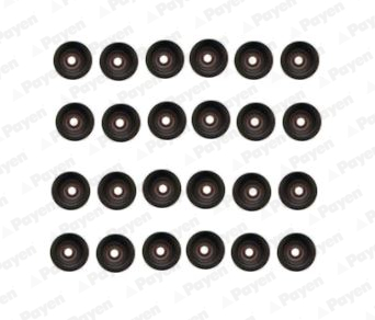 Seal Set, valve stem - HR5107 PAYEN