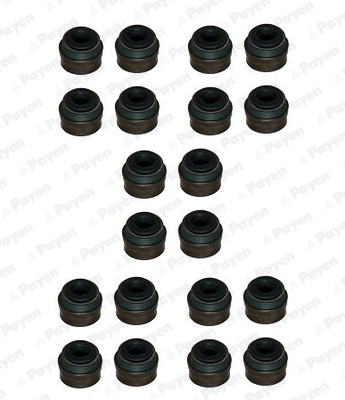 Seal Set, valve stem - HR822 PAYEN