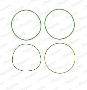 O-Ring Set, cylinder sleeve - HT018 PAYEN