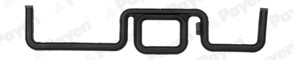 Gasket, timing case - JR5031 PAYEN