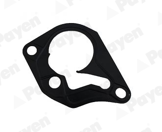 Gasket, vacuum pump - KK5643 PAYEN