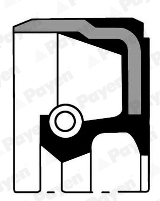 Shaft Seal, crankshaft - NA5266 PAYEN