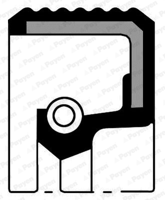 Paraolio, Cambio manuale - NA5449 PAYEN