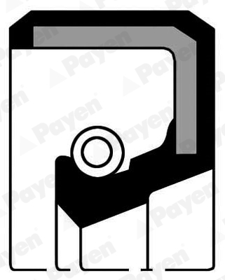 Shaft Seal, crankshaft - NB459 PAYEN