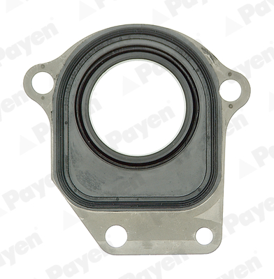 Shaft Seal, intermediate shaft - NC044 PAYEN