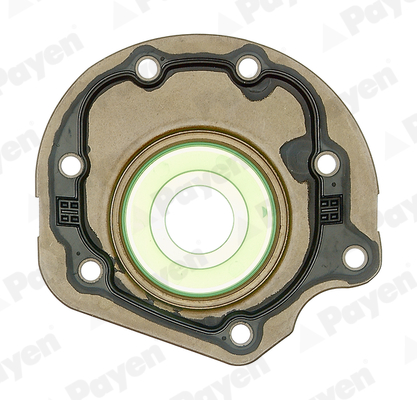 Shaft Seal, crankshaft - NC086 PAYEN