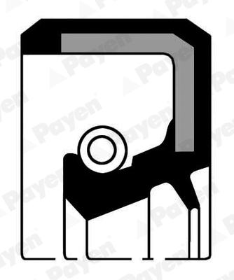 Shaft Seal, crankshaft - NJ344 PAYEN