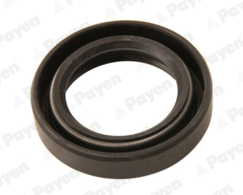 Shaft Seal - NJ849 PAYEN