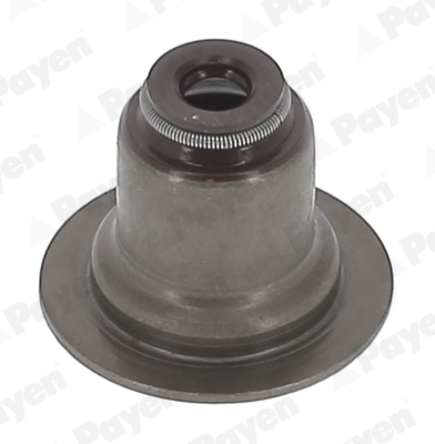 Seal Ring, valve stem - PA6117 PAYEN