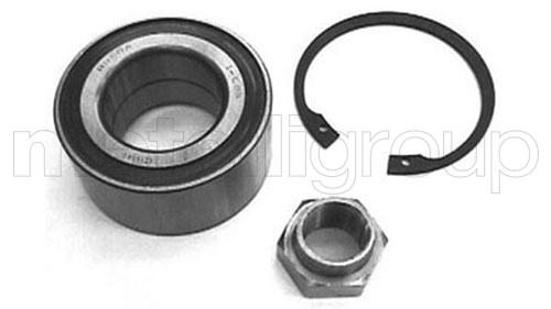 Wheel Bearing Kit - 19-2154 METELLI