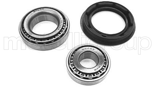Wheel Bearing Kit - 19-2170 METELLI