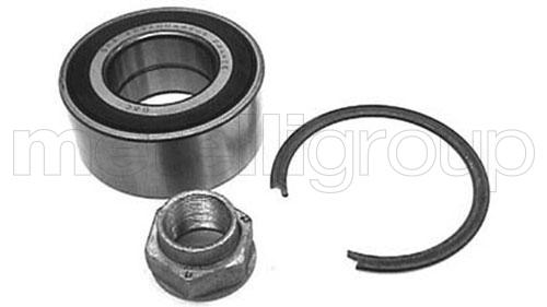 rato guolio komplektas - 19-2252 METELLI