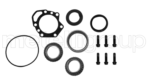 Wheel Bearing Kit - 19-2434 METELLI