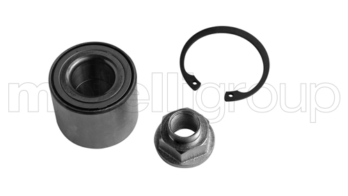 rato guolio komplektas - 19-7923 METELLI
