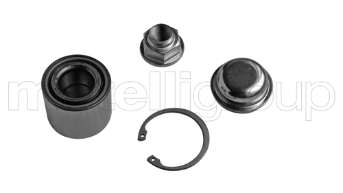 rato guolio komplektas - 19-8100 METELLI