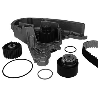 Water Pump & Timing Belt Set - 30-0900-1 METELLI