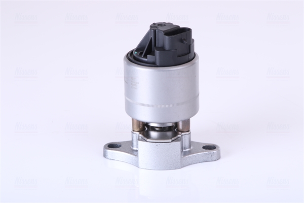 Valvola ricircolo gas scarico-EGR - 98187 NISSENS