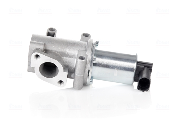 Valvola ricircolo gas scarico-EGR - 98193 NISSENS