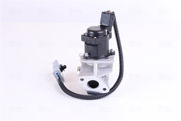 EGR Valve - 98244 NISSENS
