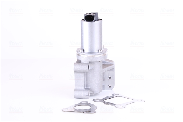 Valvola ricircolo gas scarico-EGR - 98309 NISSENS