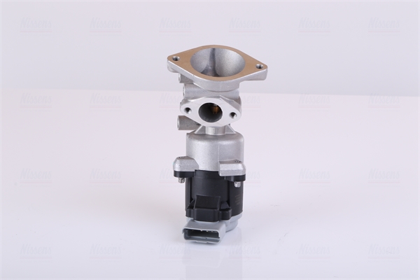 Valvola ricircolo gas scarico-EGR - 98350 NISSENS