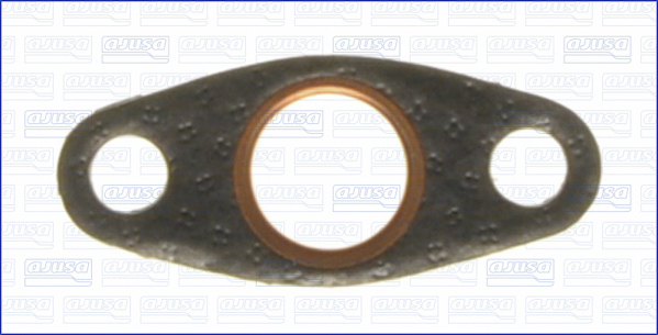 Gasket, vacuum pump - 00736800 AJUSA