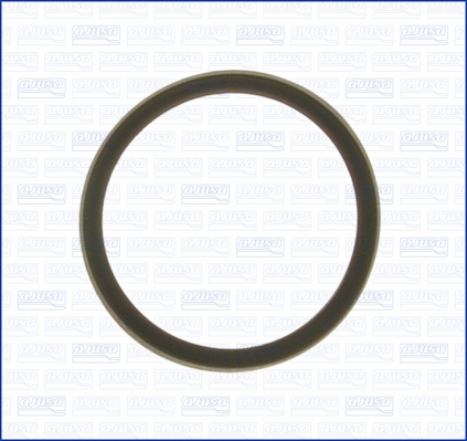 Gasket, thermostat - 00975700 AJUSA