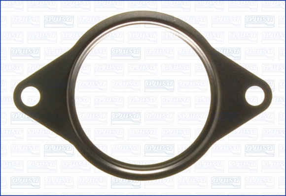 Guarnizione valvola EGR (ricircolo gas scarico) - 01062800 AJUSA