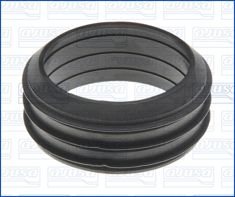 Gasket, intake manifold - 01110900 AJUSA