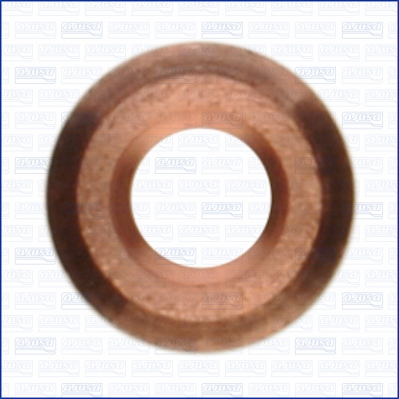 Seal Ring, injector - 01176100 AJUSA