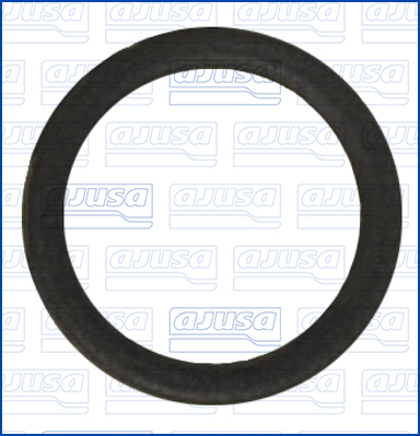 Seal Ring, coolant tube - 01276300 AJUSA