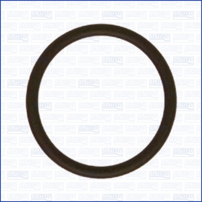 Seal, vacuum hose connector pipe - 16011500 AJUSA