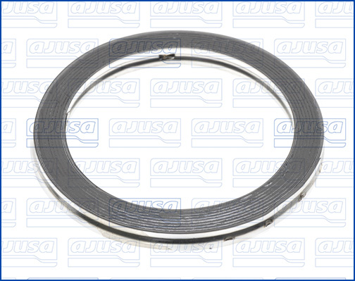 Seal Ring, exhaust pipe - 19001100 AJUSA