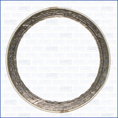 Anello tenuta, Tubo gas scarico - 19002200 AJUSA