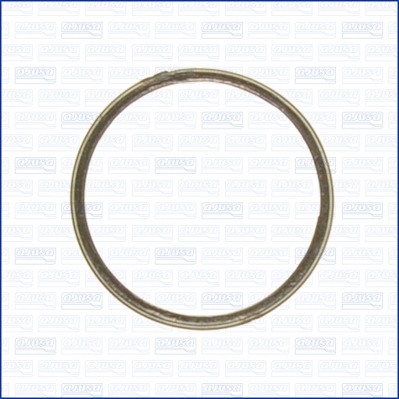 Anello tenuta, Tubo gas scarico - 19004400 AJUSA