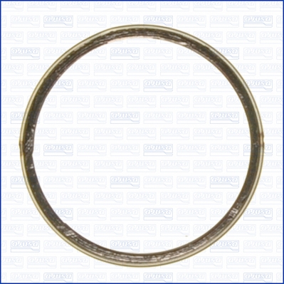 Anello tenuta, Tubo gas scarico - 19005300 AJUSA