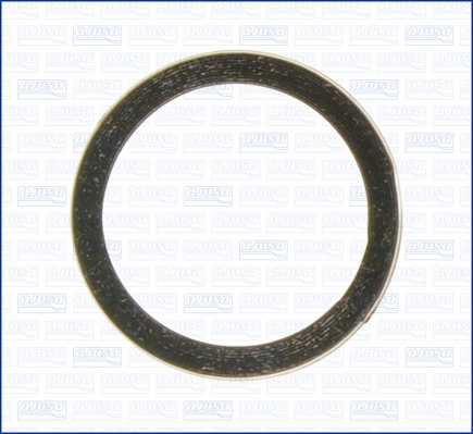 Anello tenuta, Tubo gas scarico - 19005400 AJUSA