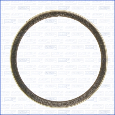 Anello tenuta, Tubo gas scarico - 19005500 AJUSA